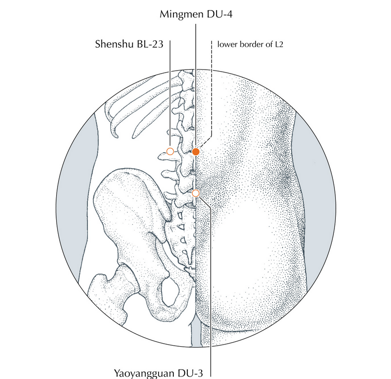 Du4 voor meer vitaliteit