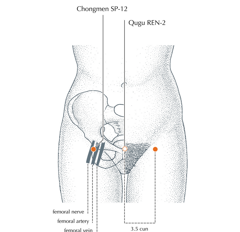 sp12 voor meer vitaliteit