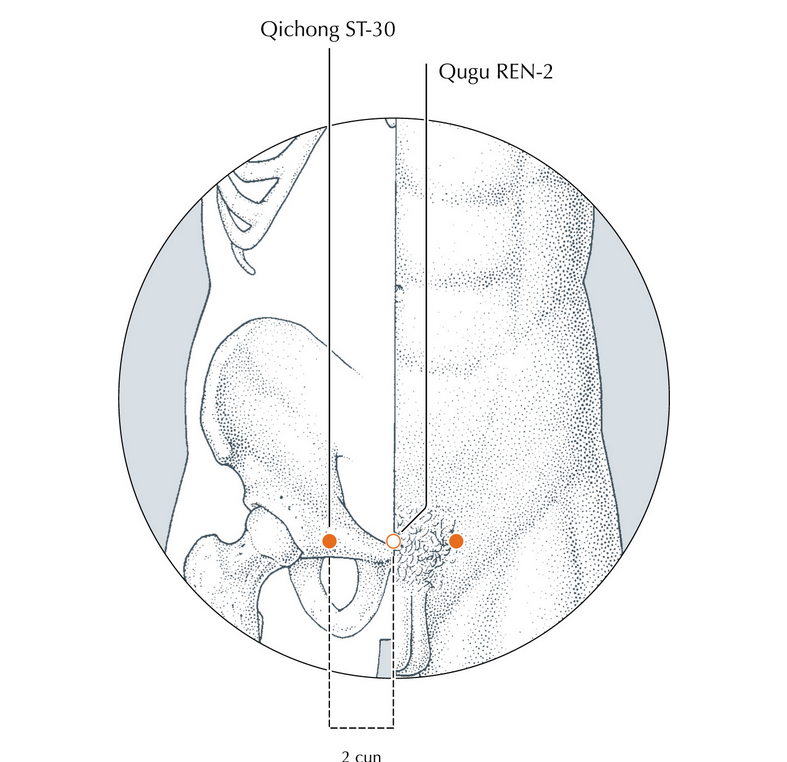 ST 30 voor meer vitaliteit